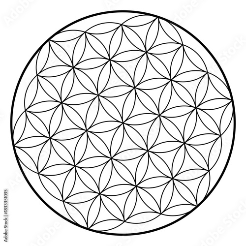 Flower life sacred geometry