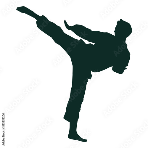Karate high kick training