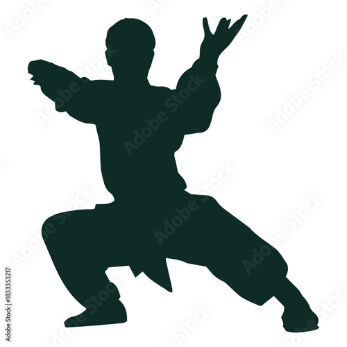 Kung fu stance shaolin