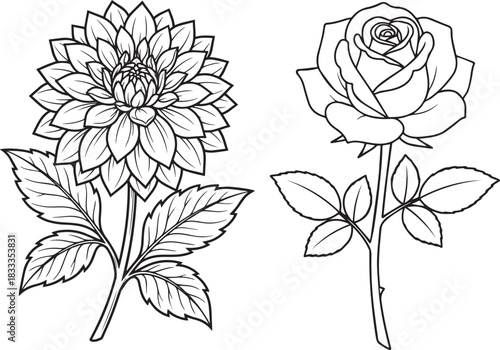Detailed Dahlia and Rose Flower Line Art Vector Set for Coloring and Design