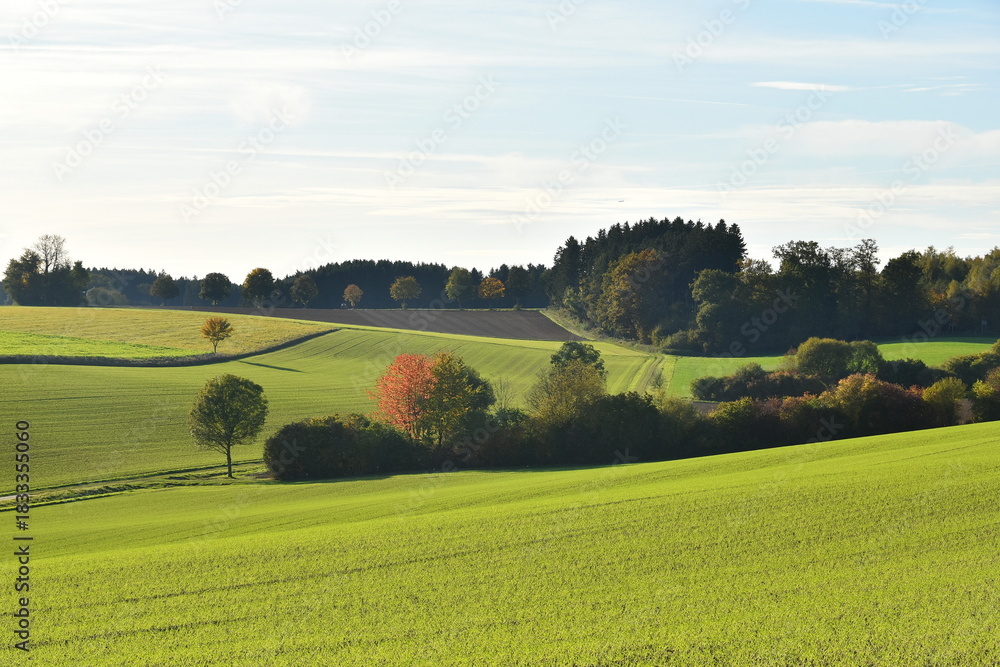 Fototapeta premium Feldlandschaft, Herbst