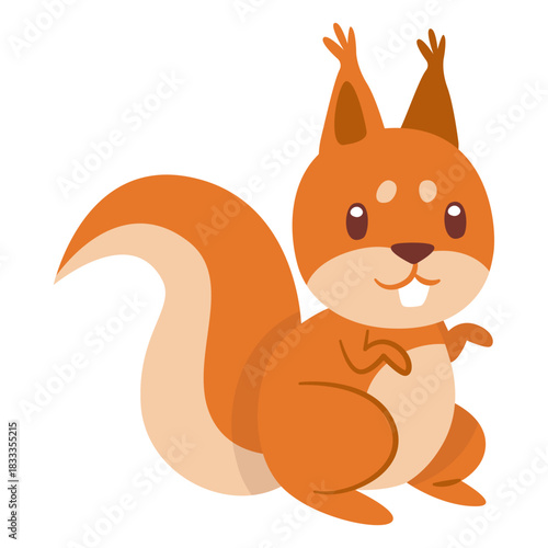 Squirrel animal cartoon