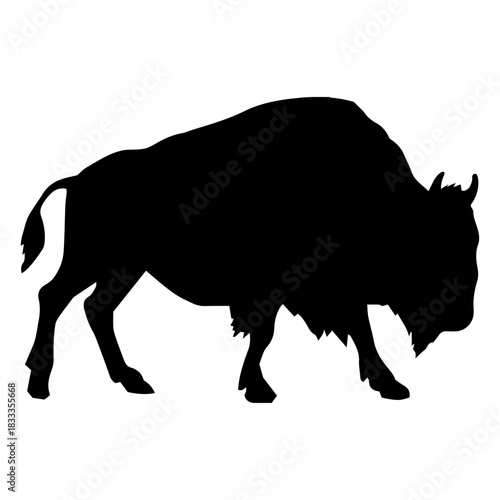 Bison buffalo animal bull silhouette