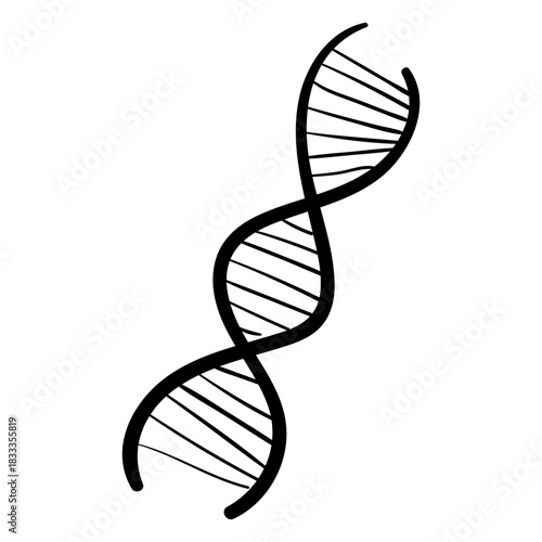 Dna chain sketch