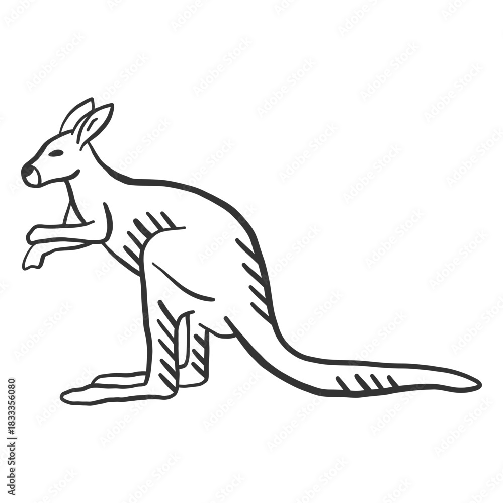 Fototapeta premium Kangaroo ear tail leg doodle animal