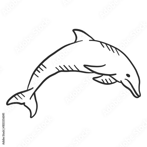 Dolphin flipper swimming tail doodle animal
