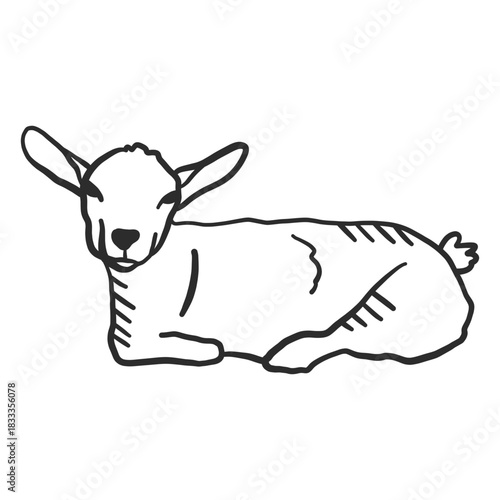 Goat tail ear doodle animal