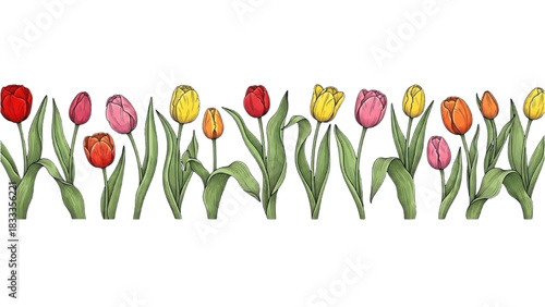 High-quality colorful black outline art of a horizontal border with tulips and slender leaves, elegant minimal botanical line design 