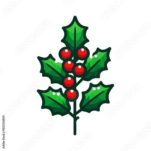 holly plant illustration design