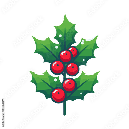 holly plant illustration design