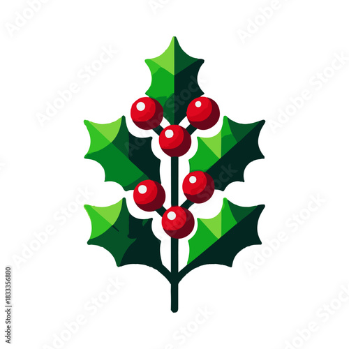 holly plant illustration design