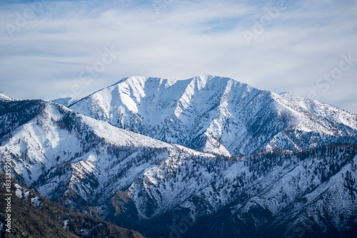 Angeles National Forest