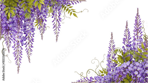 a vertical floral frame with cascading wisteria flowers along the edges, elegant botanical line design 