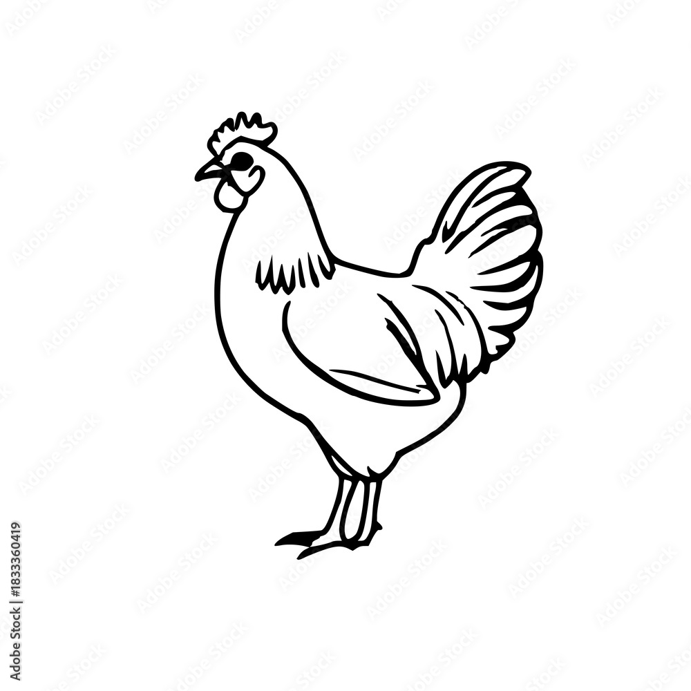 Fototapeta premium Single Silhouette Hen Icon: Black Chicken Illustra