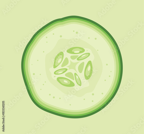 A fresh slice of cucumber with seeds on a light green background illustration