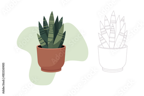 Vector illustration of a snake plant in terracotta pot with flat color version and clean outline coloring page, perfect for posters, wall art, kids worksheets, printables, branding, web banners