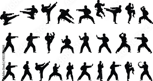 Collection of Martial Arts Silhouettes Illustrating Various Dynamic Karate Poses Action Sport Technique Training Combat Fight Kick Punch Defense Attack Professional Vector.