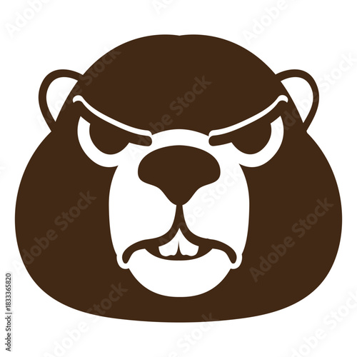 Beaver angry muzzle head flat