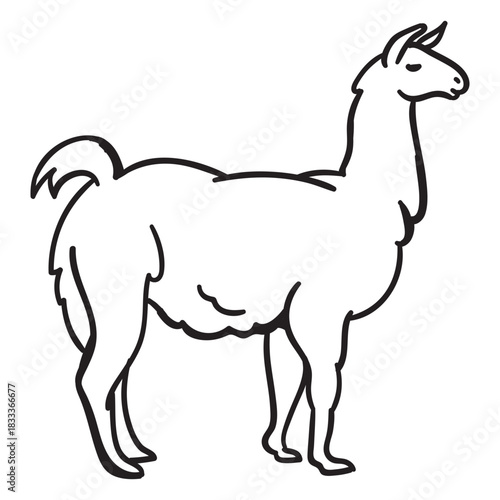 Alpaca stands stroke