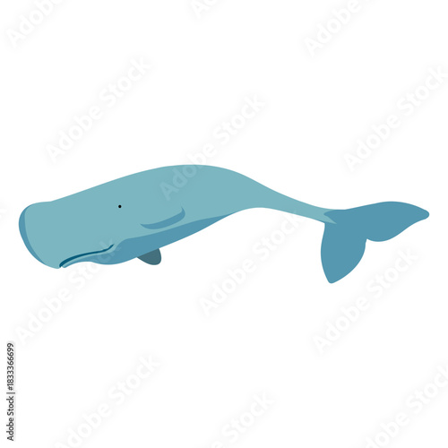 Cartoon flat whale blue
