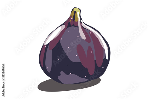 Purple Ripe Fig Fruit Illustration