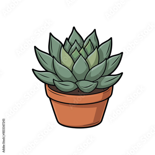 Illustration of a potted succulent plant with spiraling leaves in a simplistic style.