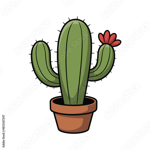 A friendly-looking cactus with a bloom, potted and ready to bring a bit of the desert indoors.