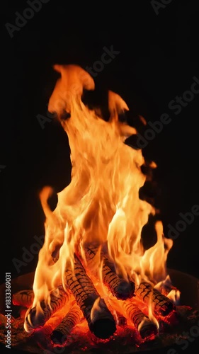 Dynamic campfire flame rising from burning logs on a dark background. Fire pit glow and warmth for camping or outdoor evening.