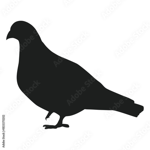One foot up pigeon