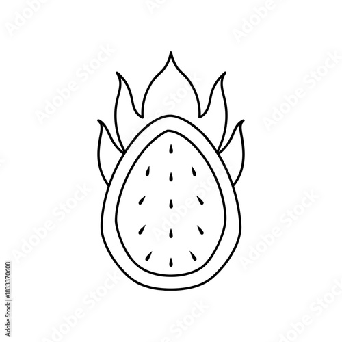 Outline drawing of a sliced dragon fruit plant on transparent background silhouette