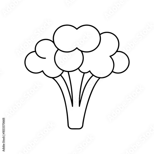 Outline drawing of a broccoli floret vegetable on transparent background silhouette