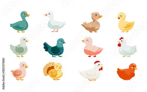 Cute Farm Birds Vector Set – Ducks Geese Chickens Pigeons Turkey Cartoon Illustration