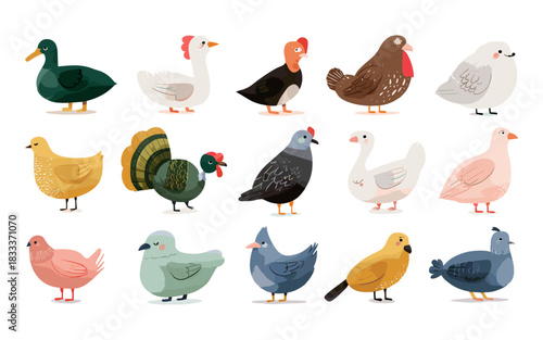 Farmyard Birds Vector Pack – Chickens Ducks Turkeys Pigeons Cute Cartoon Set