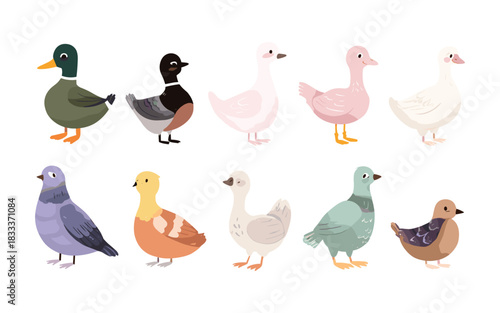 Farm Birds Cartoon Collection – Ducks Pigeons Geese Cute Poultry Vector Set