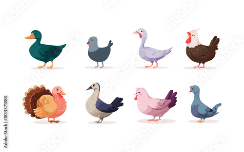 Cute Poultry Birds Vector Set – Ducks Geese Turkeys Pigeons Cartoon Farm Animals