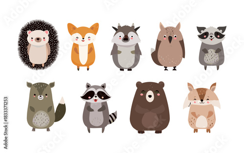 Lovely textured cartoon animals hedgehog wolf chinchilla fox bat raccoon