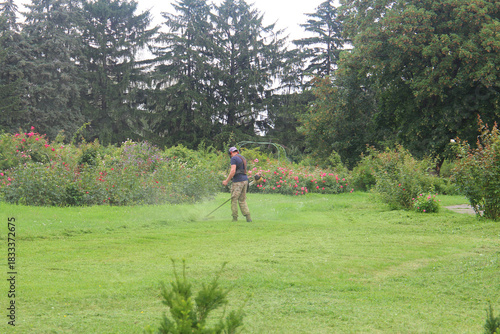 seasonal maintenance of the botanical garden's rose garden