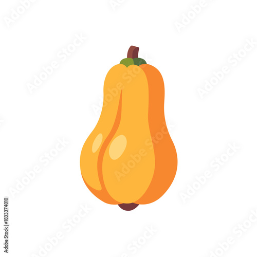Fresh orange butternut squash vegetable fruit, isolated flat style vector illustration	