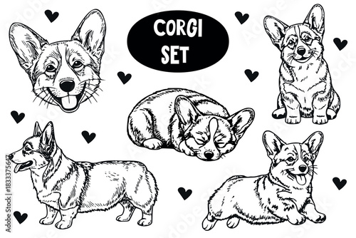 Cute corgi set in black and white hand-drawn style with multiple dog poses and small decorative hearts