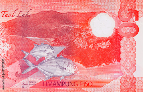 50 Piso Philippines, New Polymer Note 2025 with the image of Taal Lake and giant trevally fish. Money of the Philippines