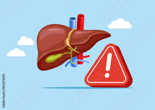 Human liver with exclamation attention sign. Anatomy structure hepatic system organ, digestive gallbladder organ. Problem. Vector flat illustration