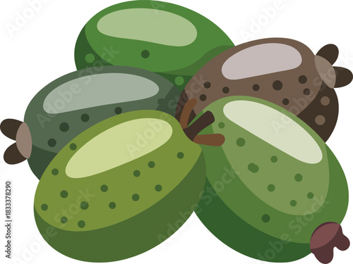 Acca sellowiana feijoa fresh tropical fruit group vector illustration design healthy food object.