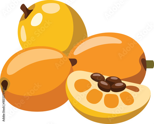 Eriobotrya japonica loquat fruits whole and halved vector illustration design sweet tropical produce.