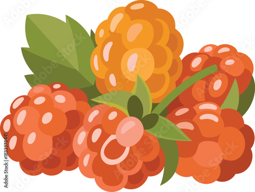 Group of ripe orange berries golden raspberry style fruit cluster with green leaves summer harvest drawing