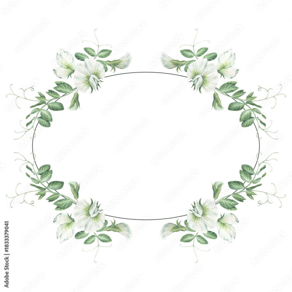 Obraz premium Oval frame with sprouts, sprigs, leaves and flowers of garden peas. Watercolor illustration hand drawn and isolated on a white background. Ideal for postcards, invitations, posters, tableware.