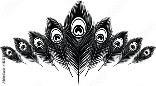 Elegant Peacock Feathers Silhouette Vector Border, Featuring Decorative Black and White Design, Natural Bird Plume Ornament, and Beautiful Art Graphic Element