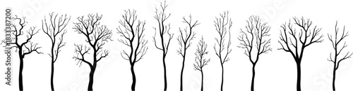 Collection of Black Silhouettes of Bare Winter Trees on White Background 