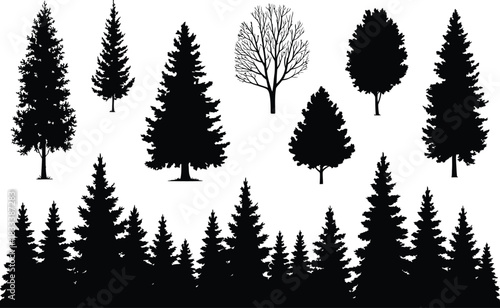 Silhouette collection of various coniferous and deciduous trees and branches evergreen pine