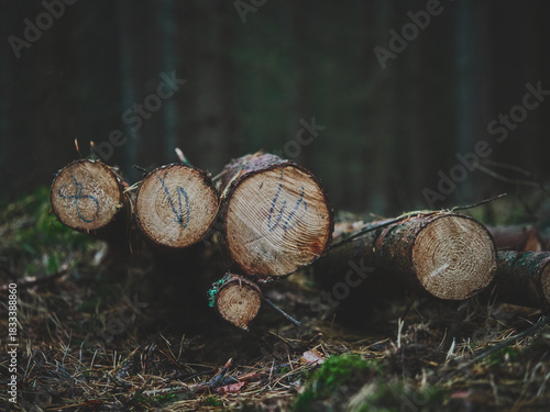 Five felled logs with sharp circular cuts captured in cool matte tones, set against a soft blurred green woodland background with open space for text.
