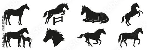 Horse silhouettes